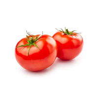 10 gramme(s) de concentré de tomate(s)